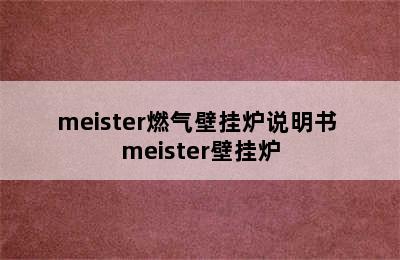 meister燃气壁挂炉说明书 meister壁挂炉